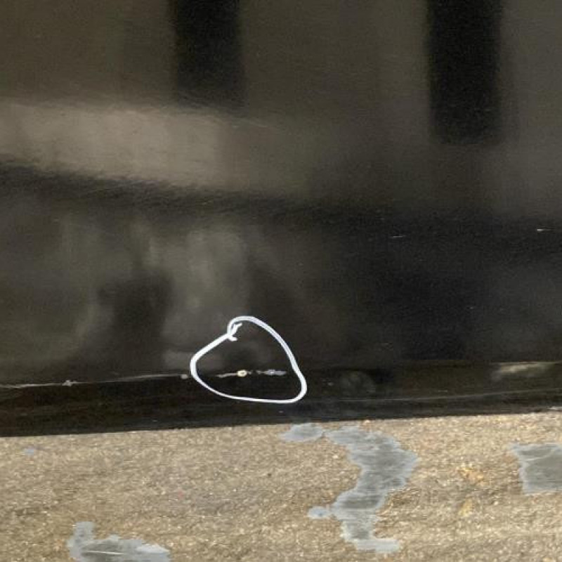 Porte arriere droit SEAT LEON 2 Photo n°4