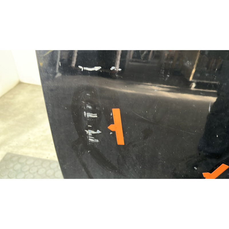 Porte avant gauche RENAULT SCENIC 3 Photo n°8
