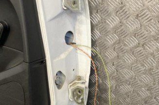 Porte arriere gauche PEUGEOT 307
