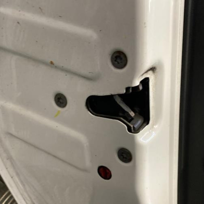 Porte arriere gauche PEUGEOT 307 Photo n°5