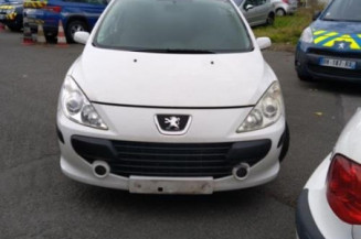 Porte arriere gauche PEUGEOT 307