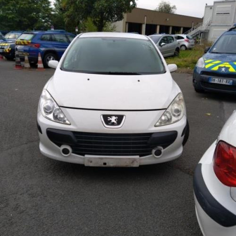 Porte arriere gauche PEUGEOT 307 Photo n°6