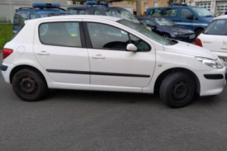 Porte arriere gauche PEUGEOT 307