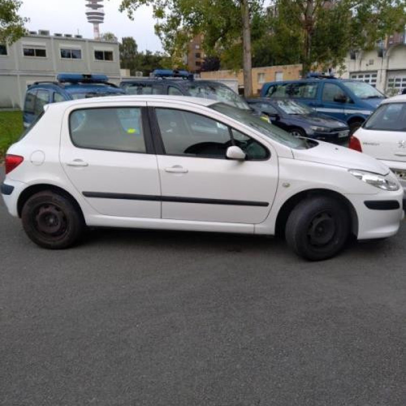 Porte arriere gauche PEUGEOT 307 Photo n°7