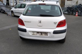 Porte arriere gauche PEUGEOT 307