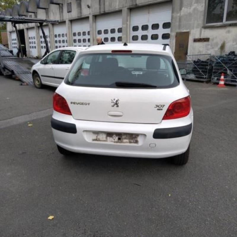 Porte arriere gauche PEUGEOT 307 Photo n°8
