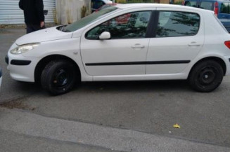 Porte arriere gauche PEUGEOT 307