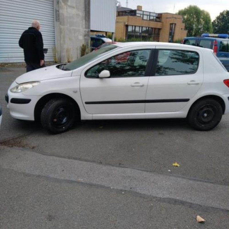 Porte arriere gauche PEUGEOT 307 Photo n°9