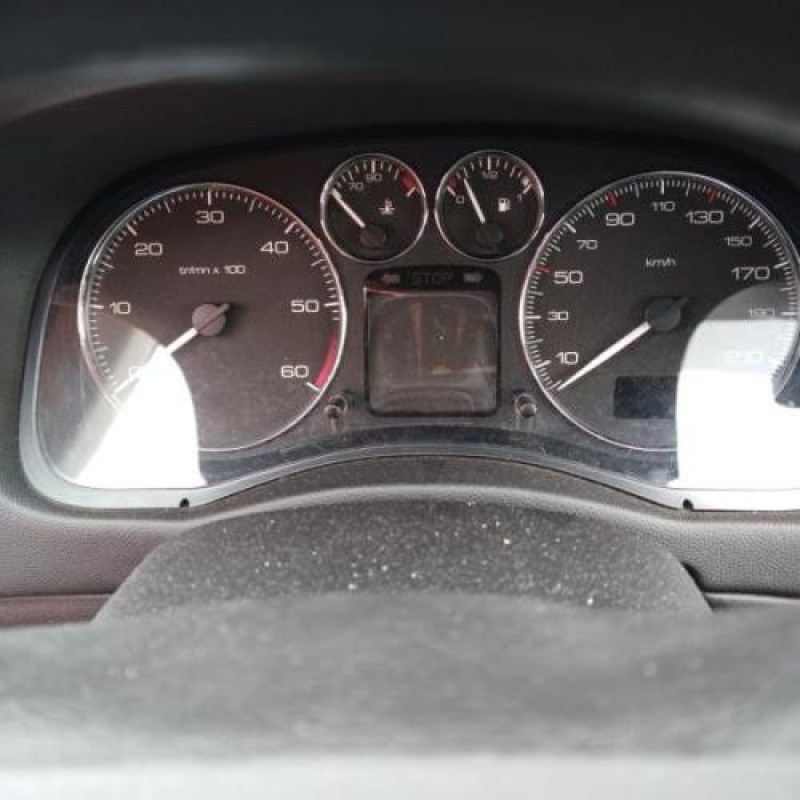 Porte arriere gauche PEUGEOT 307 Photo n°15