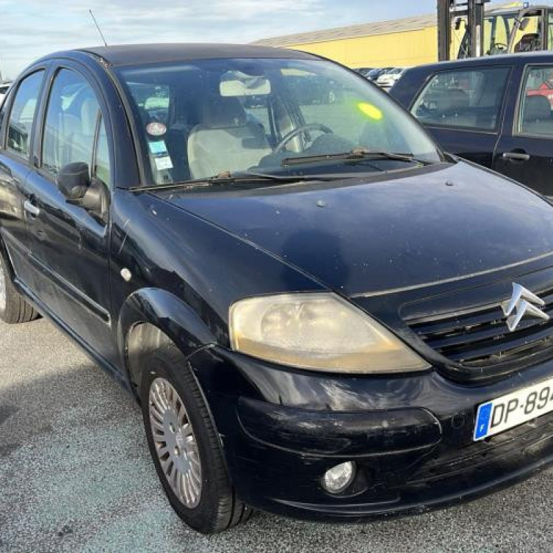 Porte avant droit CITROEN C3 1 Photo n°11