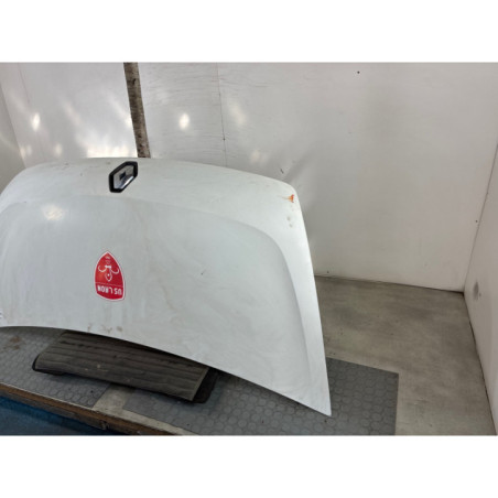 Capot RENAULT MASTER 3 Photo n°1