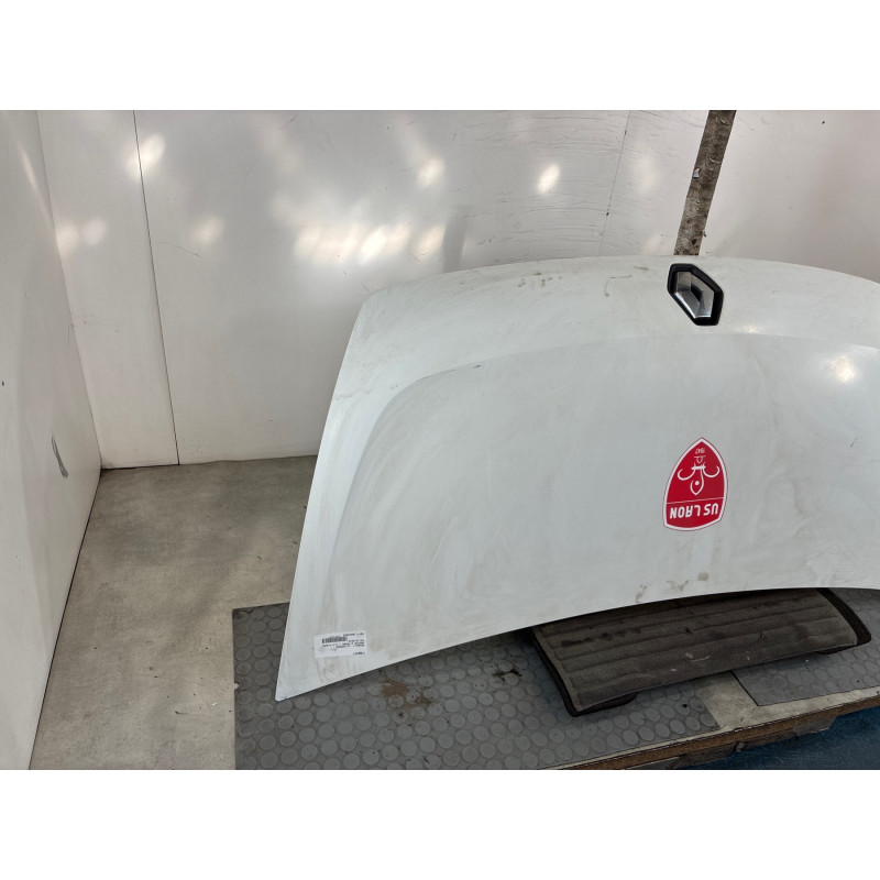 Capot RENAULT MASTER 3 Photo n°4