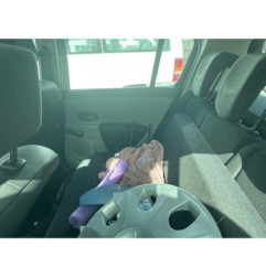 Avertisseur/Klaxon RENAULT CLIO 3