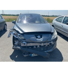 Custode avant droit (porte) PEUGEOT 308 1