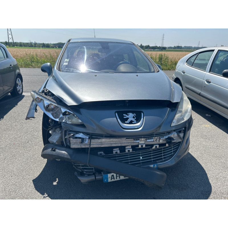 Custode avant droit (porte) PEUGEOT 308 1 Photo n°5