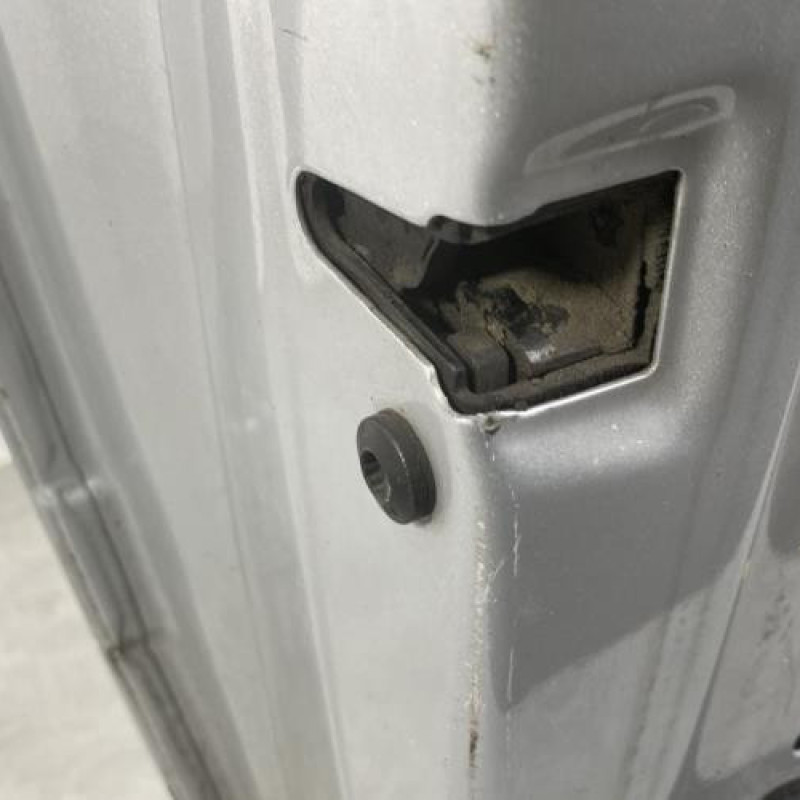 Porte avant gauche AUDI A3 2 Photo n°6