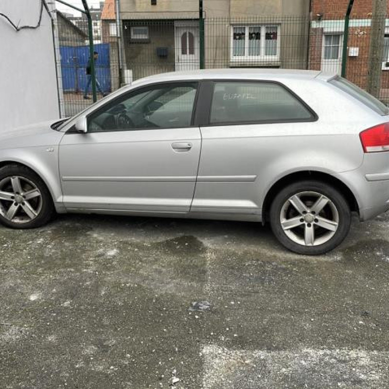 Porte avant gauche AUDI A3 2 Photo n°8