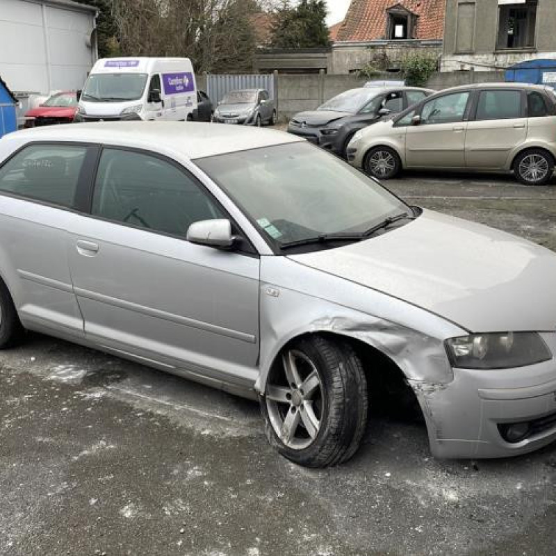 Porte avant gauche AUDI A3 2 Photo n°9