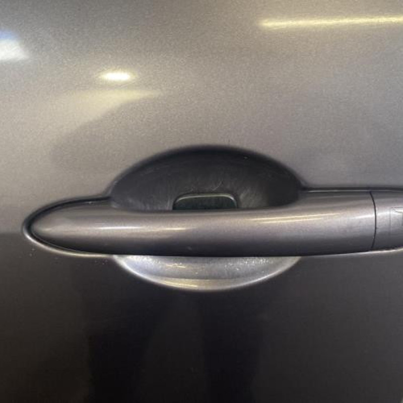 Porte avant gauche RENAULT SCENIC 2 Photo n°2