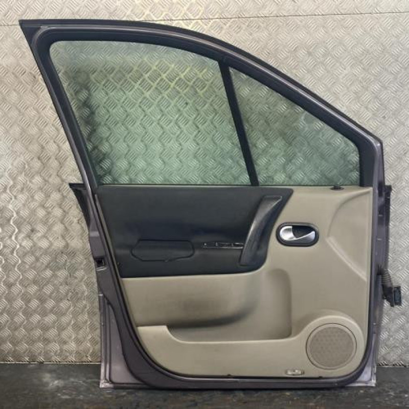 Porte avant gauche RENAULT SCENIC 2 Photo n°3