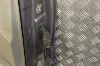 Porte avant gauche RENAULT SCENIC 2