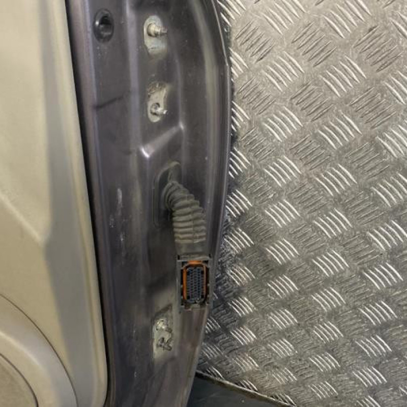 Porte avant gauche RENAULT SCENIC 2 Photo n°4
