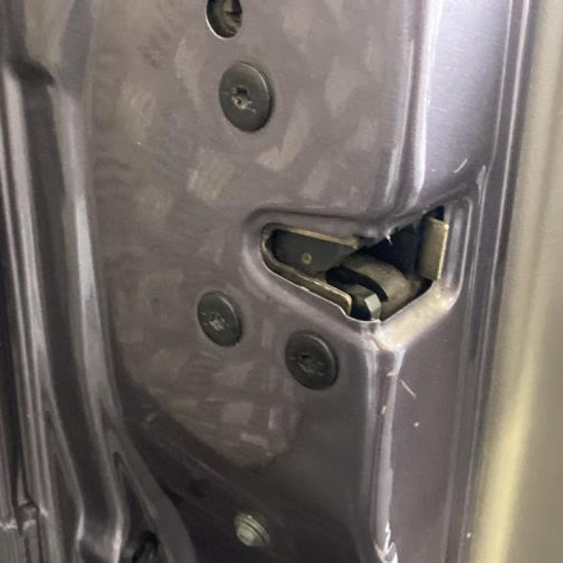 Porte avant gauche RENAULT SCENIC 2 Photo n°5