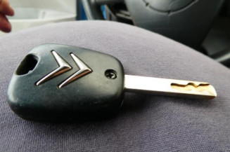 Retroviseur gauche CITROEN C3 PLURIEL