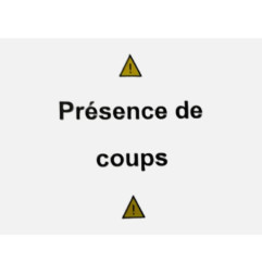 Porte avant droit RENAULT CLIO 3