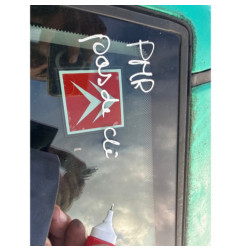Porte arriere gauche CITROEN SAXO