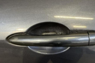 Porte arriere gauche RENAULT LAGUNA 3