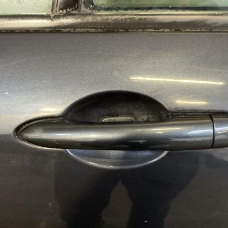 Porte arriere gauche RENAULT LAGUNA 3