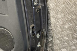 Porte arriere gauche RENAULT LAGUNA 3