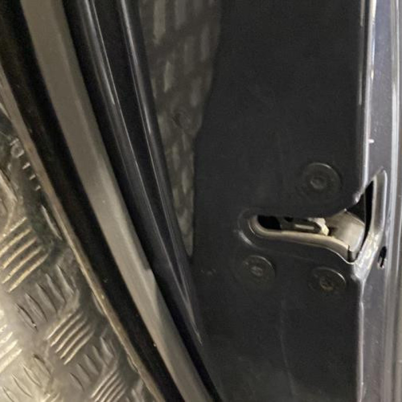 Porte arriere gauche RENAULT LAGUNA 3 Photo n°5