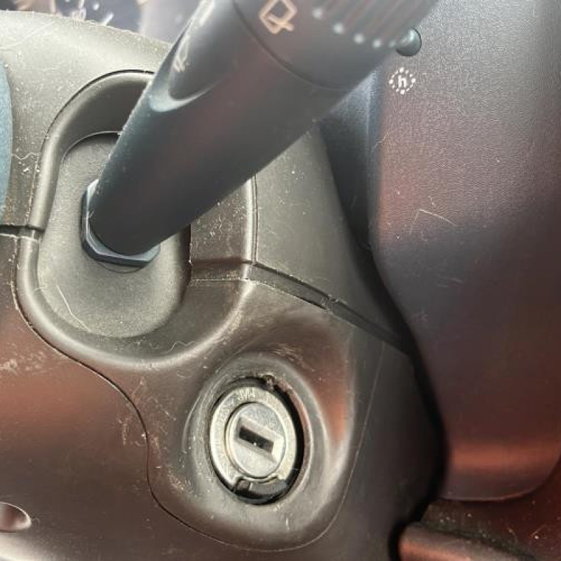 Porte de coffre droit FIAT DOBLO 1 Photo n°19