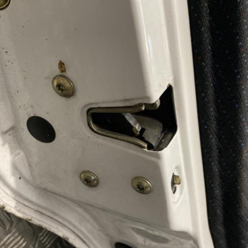 Porte arriere gauche VOLKSWAGEN GOLF 3 Photo n°6