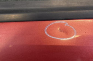 Porte avant gauche PEUGEOT 207