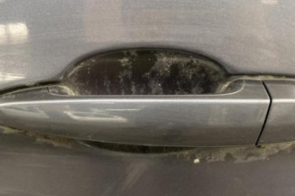 Porte arriere gauche BMW SERIE 3 E91