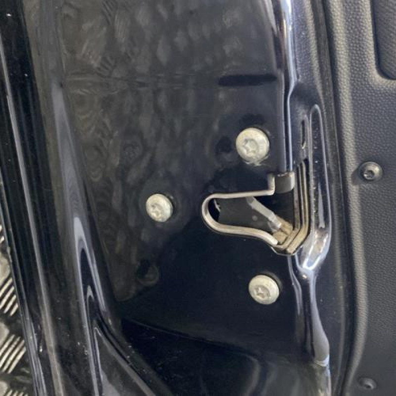 Porte avant gauche OPEL ASTRA H Photo n°5