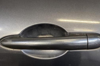 Porte arriere gauche RENAULT LAGUNA 3