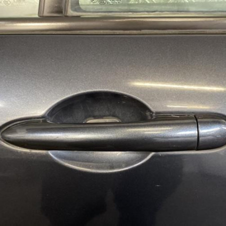 Porte arriere gauche RENAULT LAGUNA 3