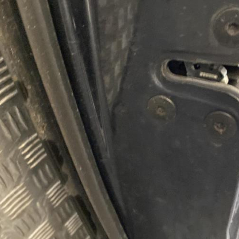 Porte arriere gauche RENAULT LAGUNA 3 Photo n°5