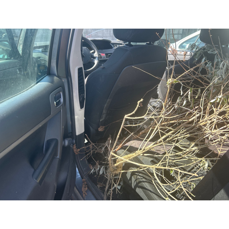Vitre arriere droit CITROEN C4 PICASSO 1 Photo n°16