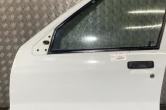 Porte avant gauche RENAULT R19 Photo n°1