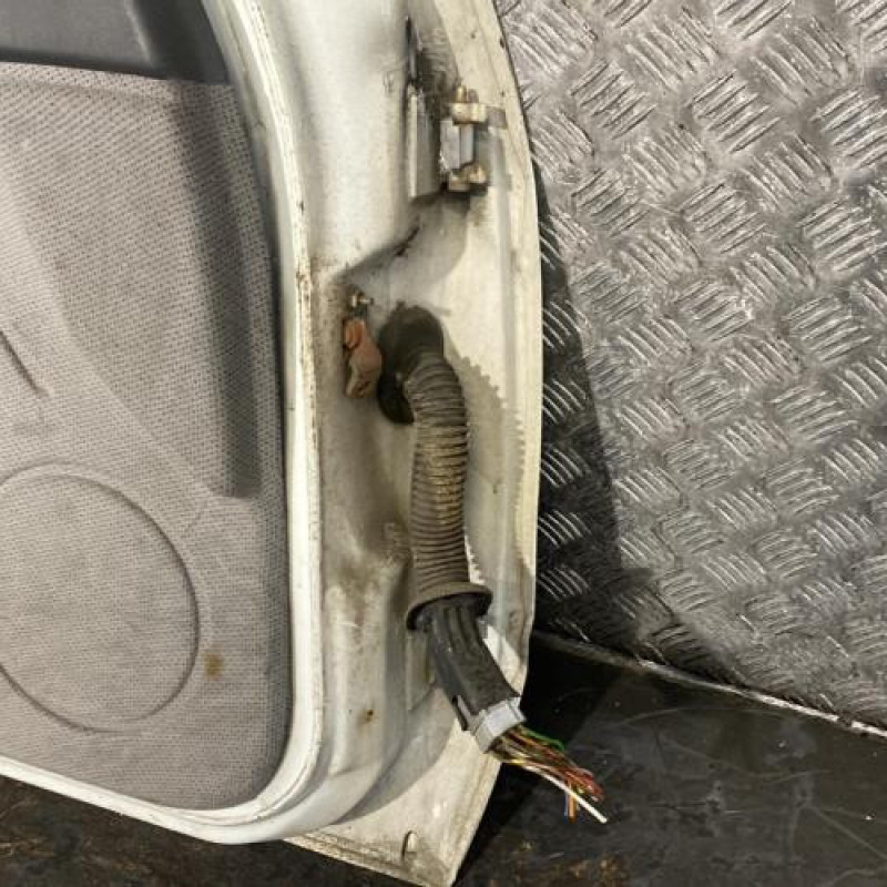 Porte avant gauche RENAULT R19 Photo n°6