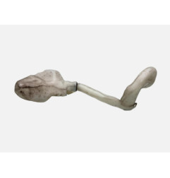 Vase de lave glace CITROEN C3 PICASSO