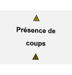 Porte arriere gauche CITROEN C4 GRAND PICASSO 1