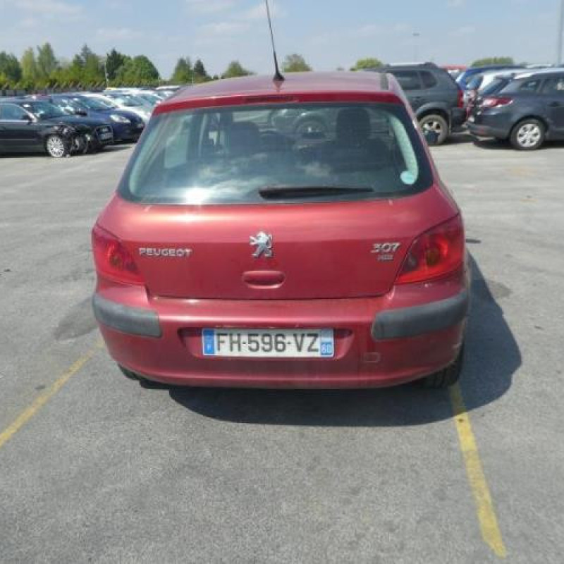 Jante PEUGEOT 307 Photo n°4