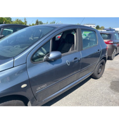 Mastervac PEUGEOT 307