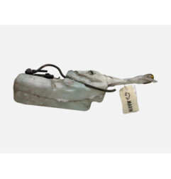 Vase de lave glace RENAULT CLIO 3
